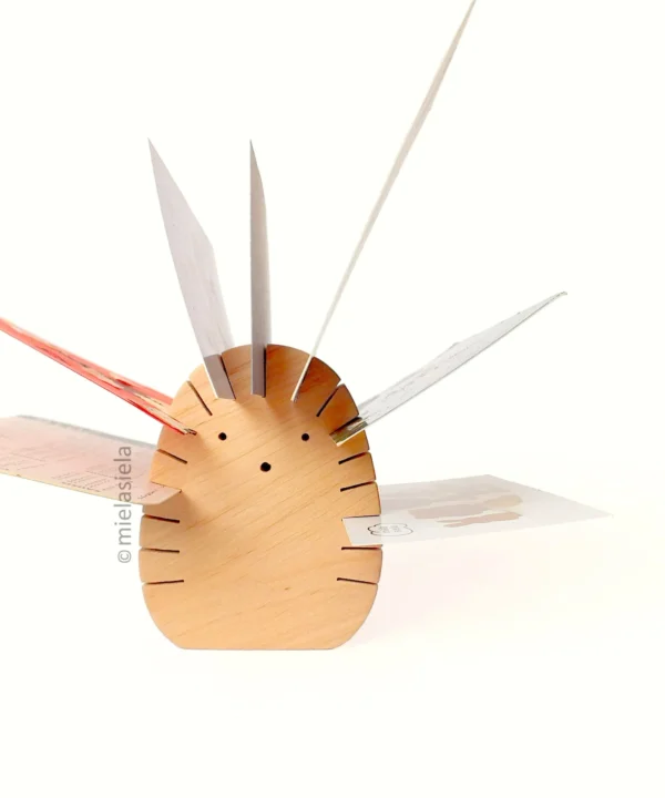 Natūralaus medžio ežiuko formos laikiklis su įstatytomis spalvotomis kortelėmis baltame fone